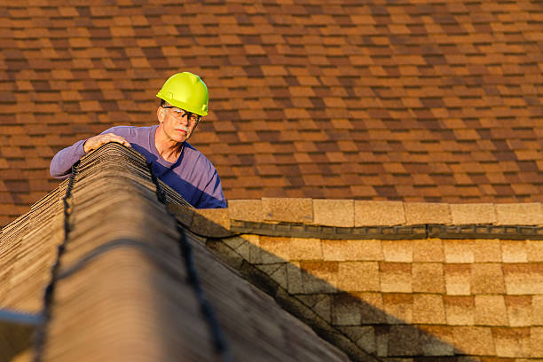 Best Roof Repair Services  in Judsonia, AR
