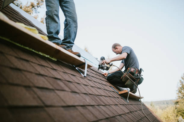 Best Metal Roofing Contractor  in Judsonia, AR